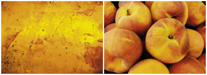 durazno mosaicodurazno