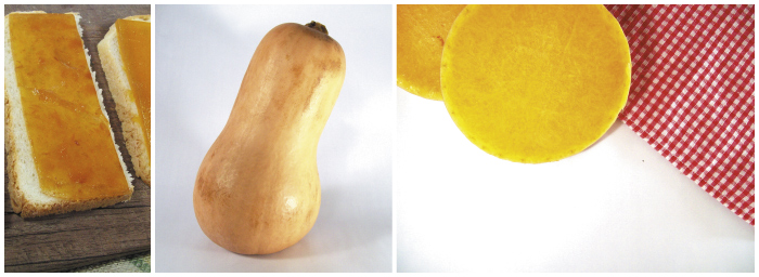 zapallo mosaicozapallo